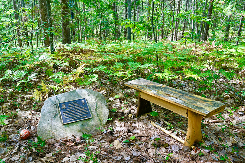 Black Mountain Pathways